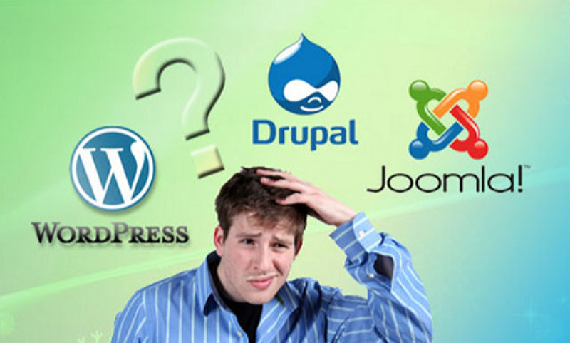 Các website từ mã nguồn mở thường khá nặng nên tốc độ load tương đối chậm