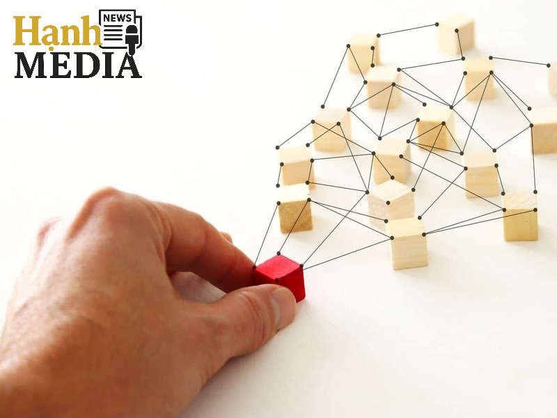 Backlink entity là gì mà lại quan trọng trong SEO? Backlink entity là gì mà lại quan trọng trong SEO?