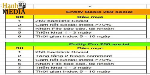 Hạnh Media cung cấp dịch vụ Entity chuyên nghiệp, uy tín