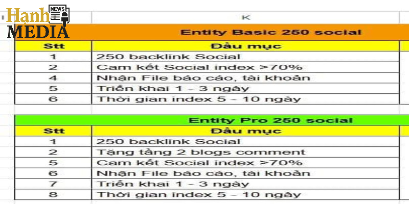Hạnh Media cung cấp dịch vụ Entity chuyên nghiệp, uy tín