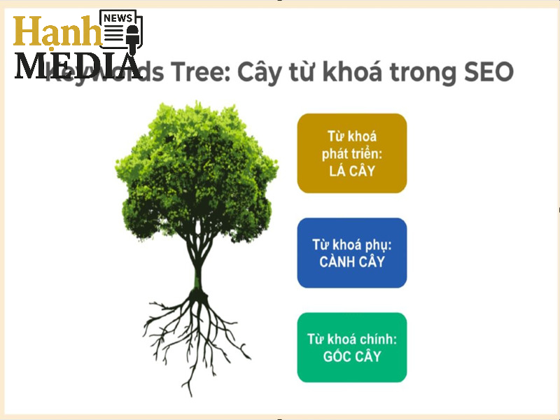 Nghiên cứu từ khóa để bài chuẩn SEO lên top Google